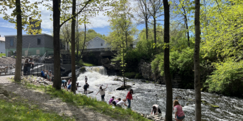 Box Mill Stream Fish Ladder